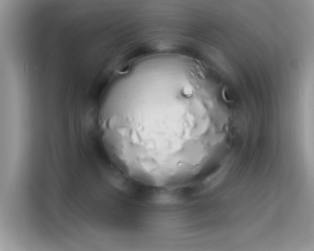 X0000114000175200910091411