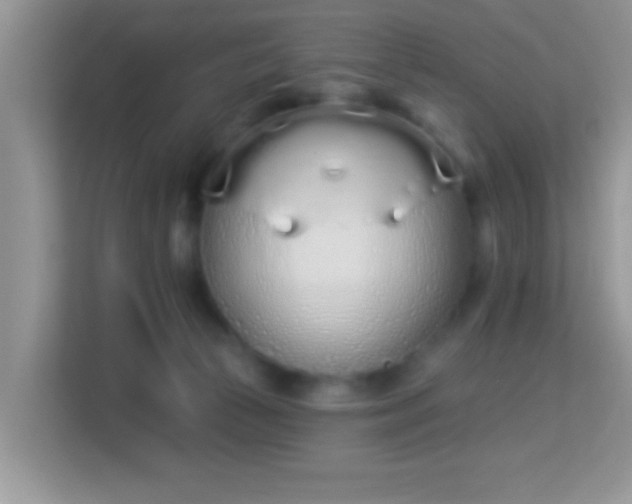 X0000114000177200910091411