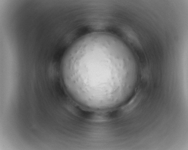 X0000114000179200910091411