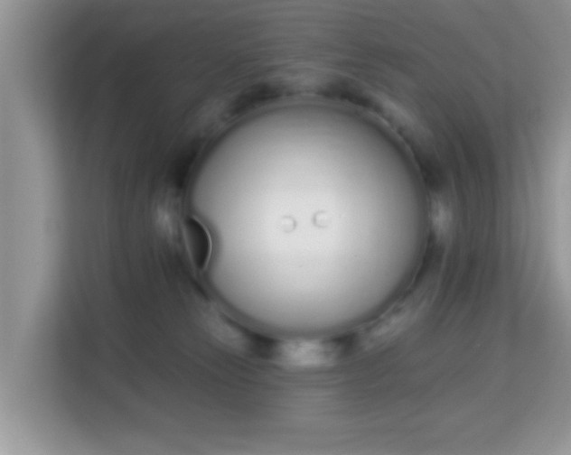 X0000114000181200910091411