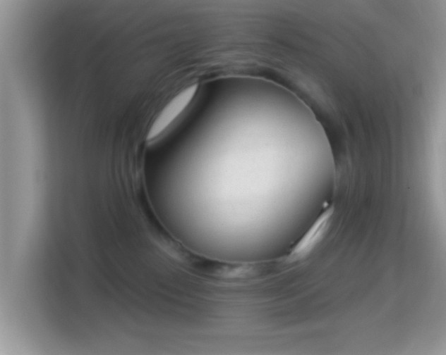 X0000114000186200910091411