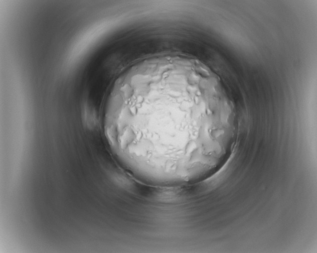 X0000114000191200910091411