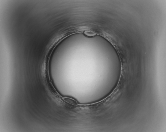 X0000114000194200910091410
