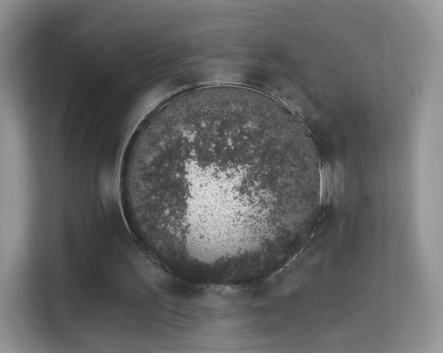 X0000114000195200910091410