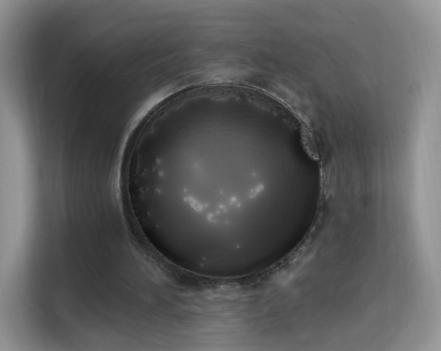 X0000114000196200910091410