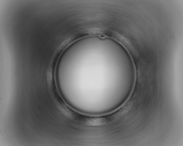 X0000114000202200910091410