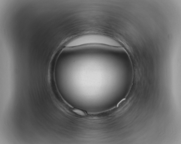 X0000114000203200910091410