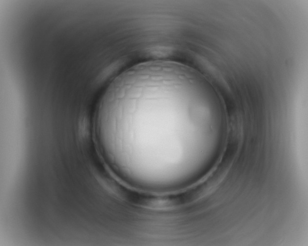 X0000114000212200910091410