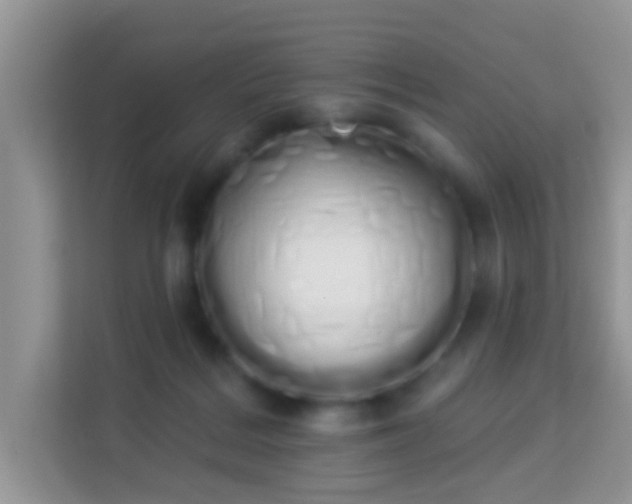 X0000114000220200910091410