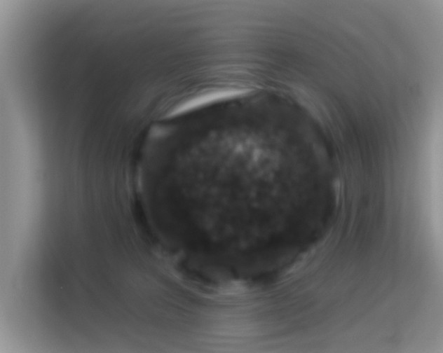 X0000114000227200910091410