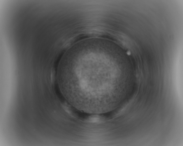 X0000114000231200910091410