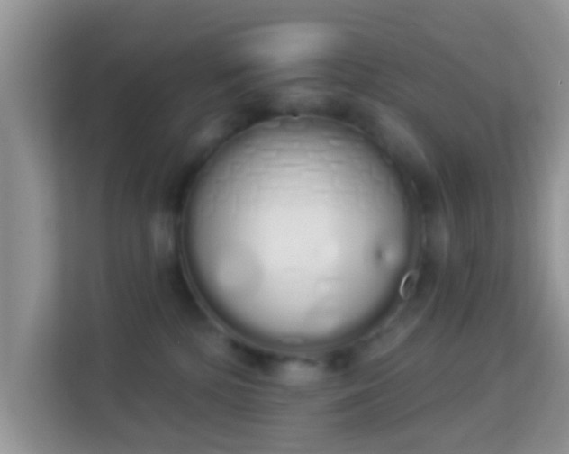 X0000114000232200910091410
