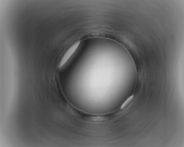 X0000114000233200910091410