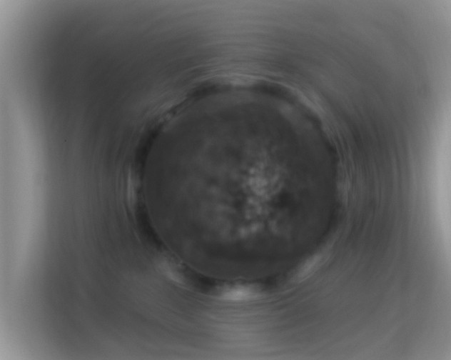 X0000114000235200910091410