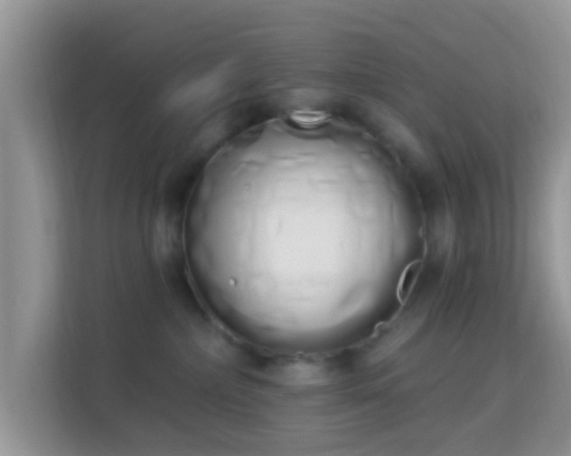 X0000114000236200910091410