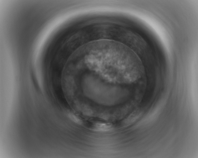 X0000114000239200910091410