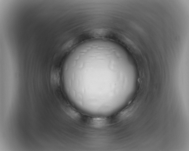 X0000114000240200910091410