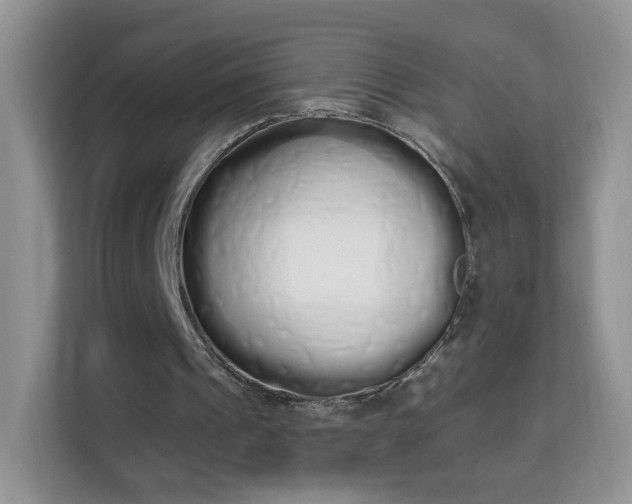 X0000114000241200910091409