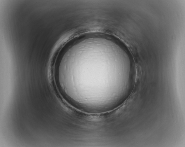 X0000114000245200910091409