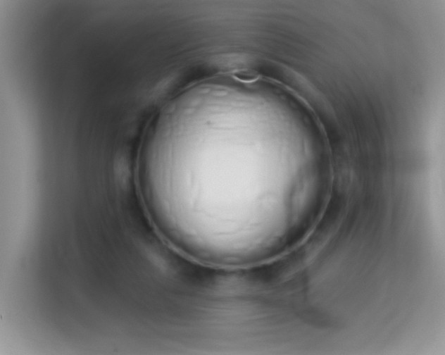 X0000114000259200910091409