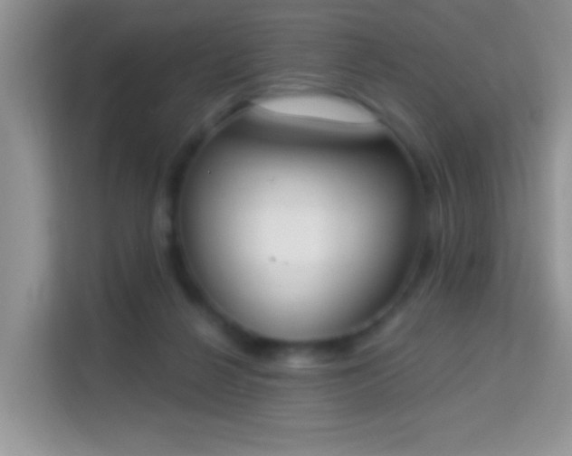 X0000114000264200910091409