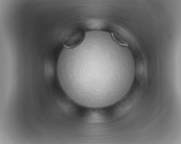 X0000114000268200910091409