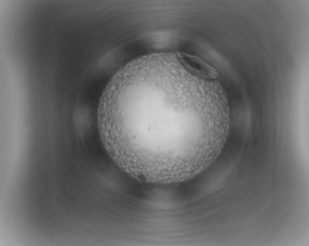 X0000114000272200910091409