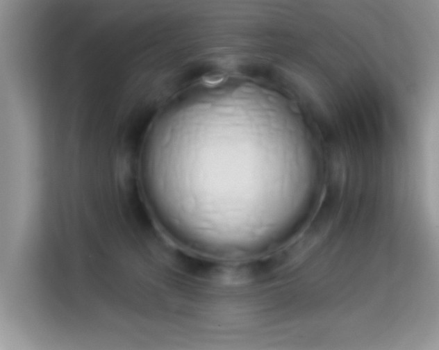 X0000114000275200910091409