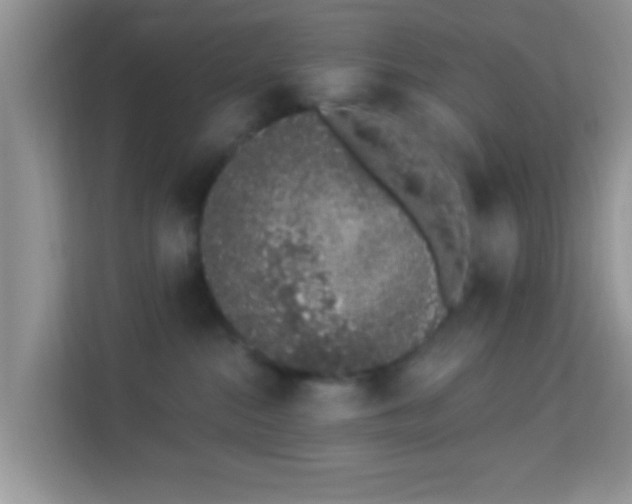 X0000114000284200910091410
