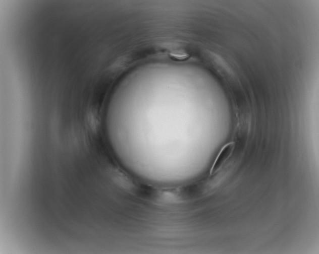 X0000114000285200910091410