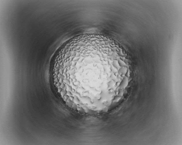 X0000114000290200910091409