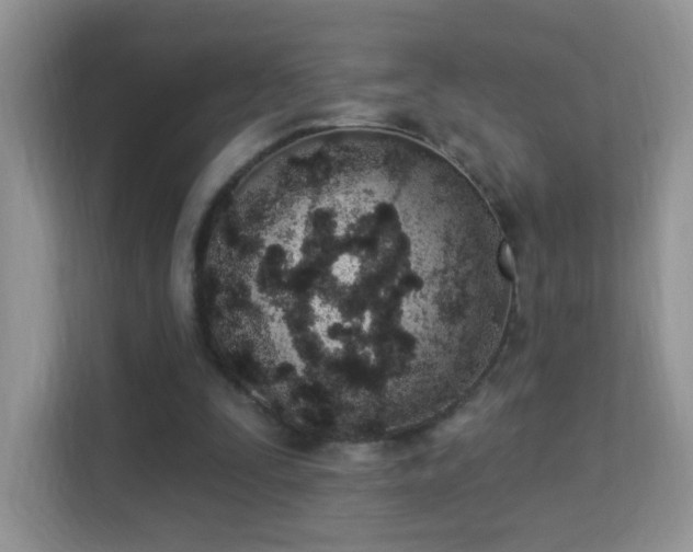 X0000114000295200910091409