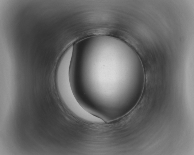 X0000114000297200910091409