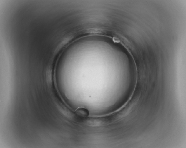 X0000114000299200910091409