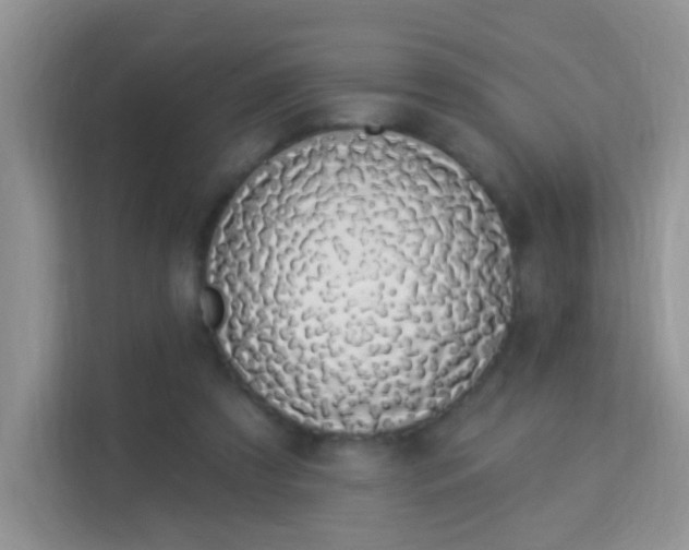 X0000114000305200910091409