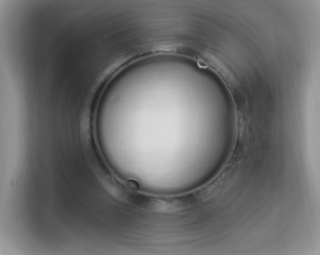 X0000114000346200910091408