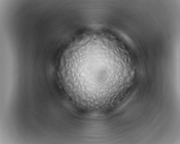 X0000114000365200910091408