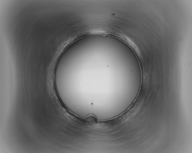 X0000114000385200910091408