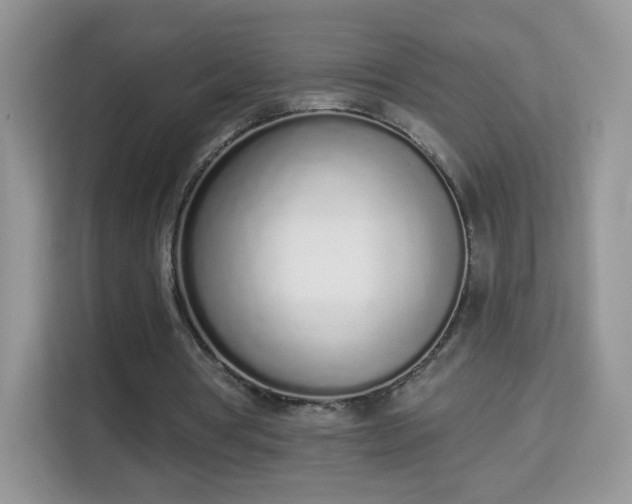X0000114000386200910091408