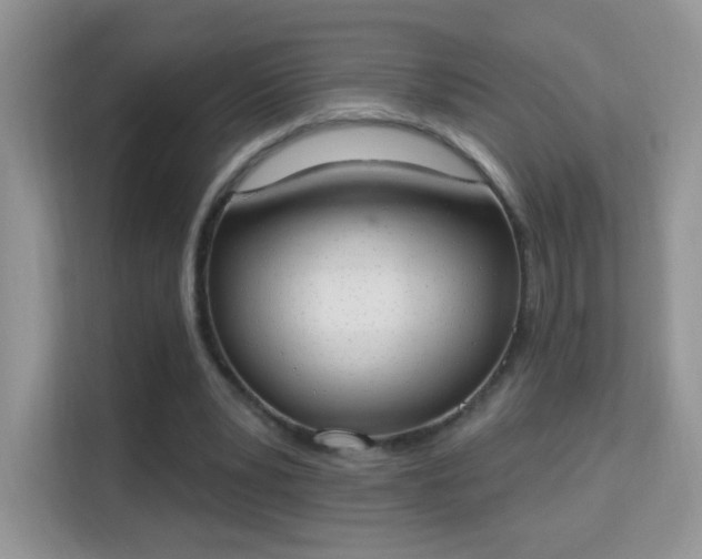 X0000114000391200910091407