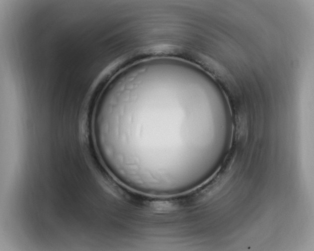 X0000114000392200910091407