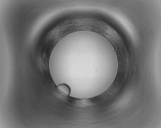 X0000114000431200910091407