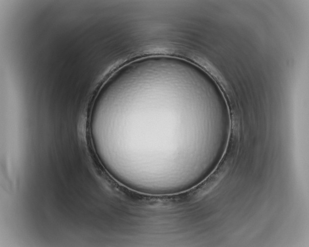 X0000114000434200910091406
