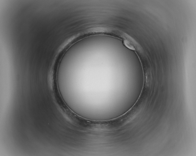 X0000114000436200910091406