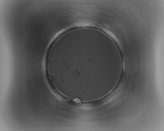 X0000114000438200910091406