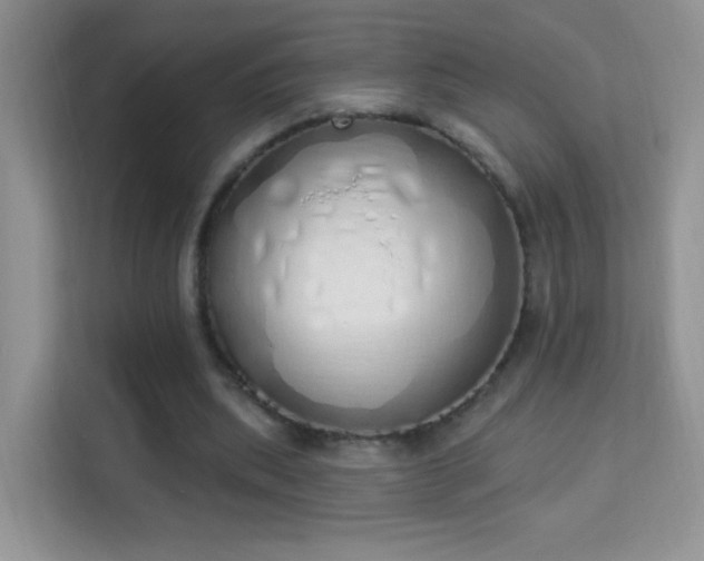 X0000114000439200910091406