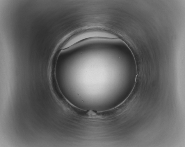 X0000114000440200910091406
