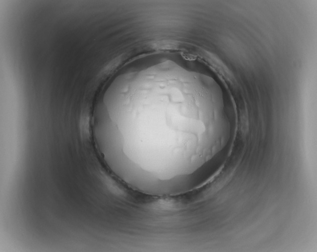 X0000114000441200910091406