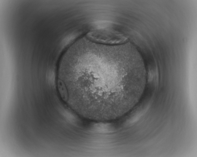 X0000114000444200910091406
