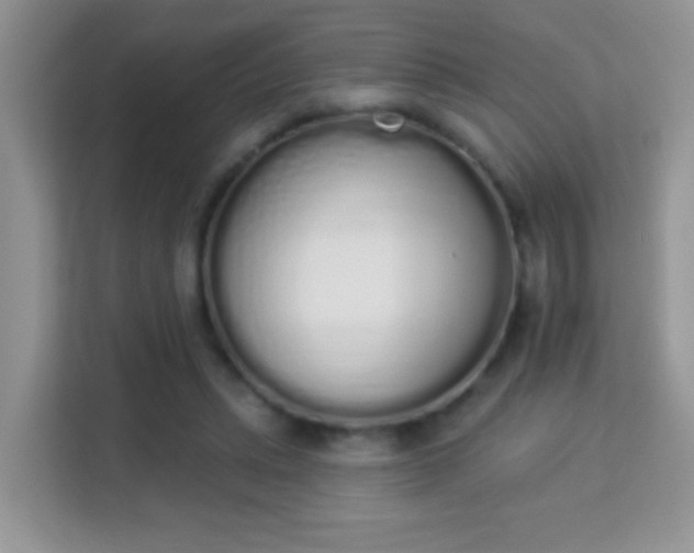X0000114000447200910091406